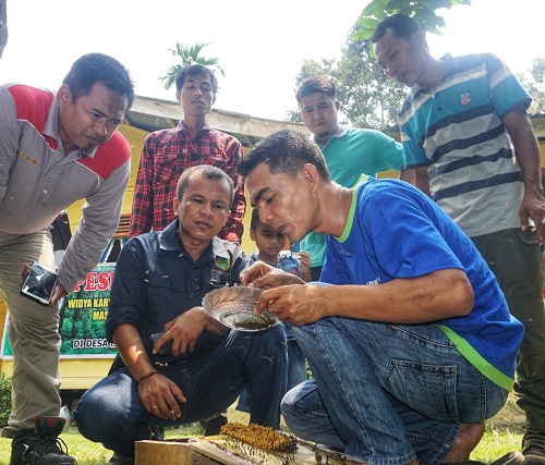 Dua Desa di Kuansing Belajar Beternak Lebah Kelulut 